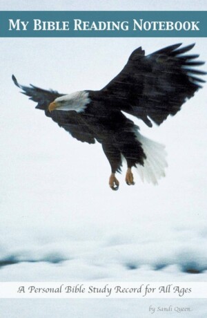 Book cover - Eagle
