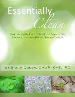 Book cover - Essentially clean