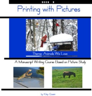 Book cover - Pictures Printing B