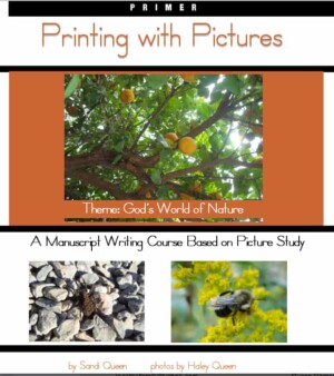 Book cover - Printing with Pictures Primer