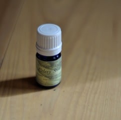celery seed essential oil single