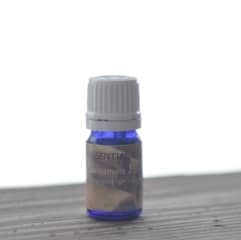 cinnamon essential oil single