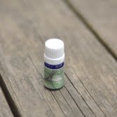Lime essential oil single