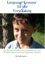 Book cover - LLVY2