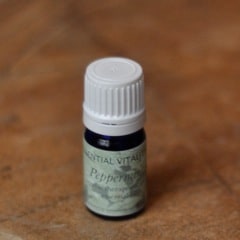 Peppermint essential oil single