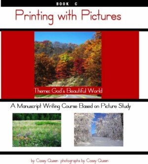Book cover - Printing C