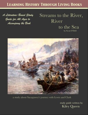Book cover - steams to the river