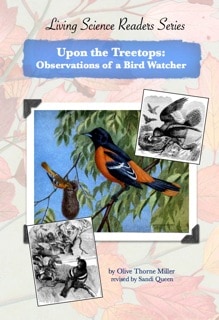 Upon the Treetops: Observations of a Bird Watcher