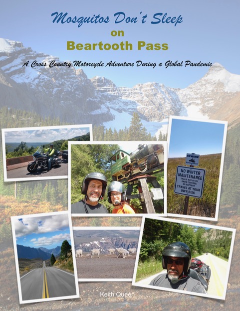 Mosquitos Don’t Sleep on Beartooth Pass - Ebook